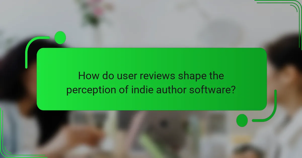 How do user reviews shape the perception of indie author software?