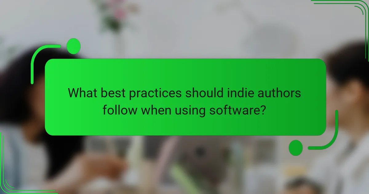 What best practices should indie authors follow when using software?