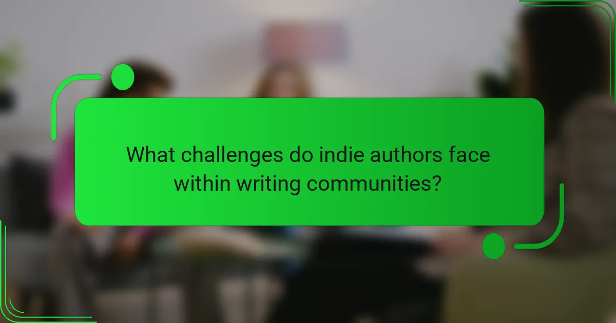 What challenges do indie authors face within writing communities?