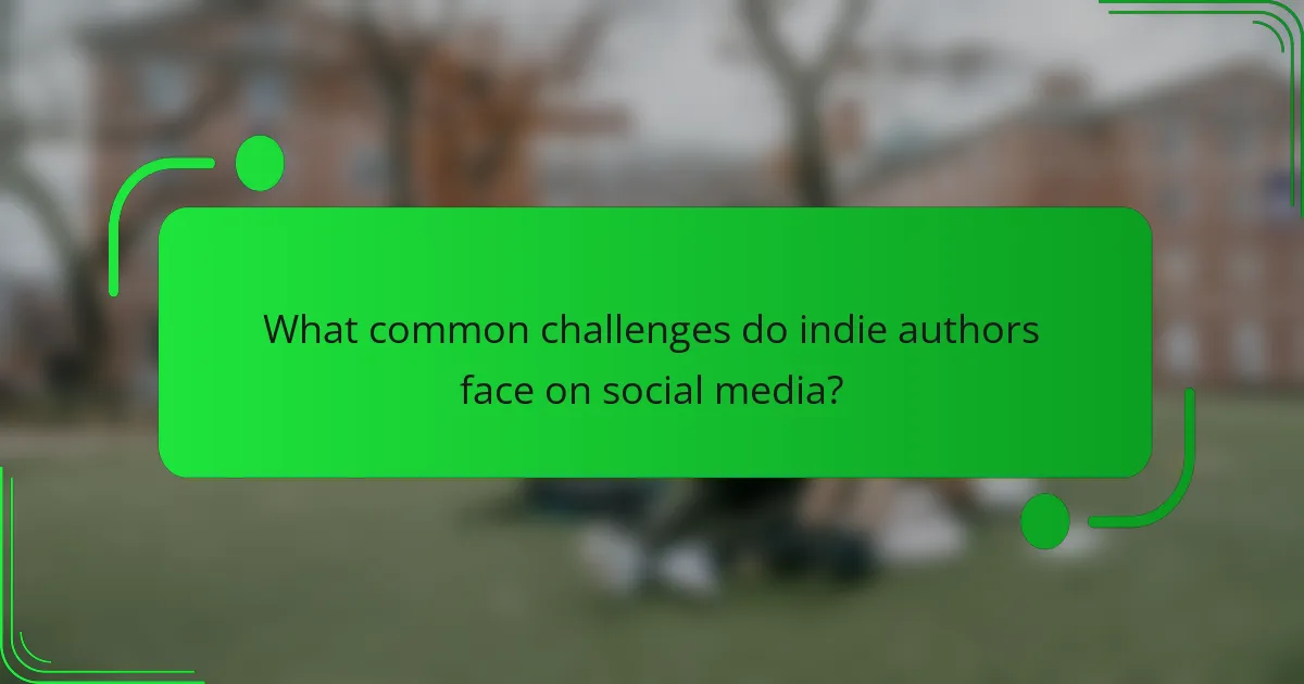 What common challenges do indie authors face on social media?